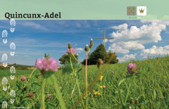 Quincunx Adel: Entlang der Adel-Runde finden Sie zahlreiche Anlaufpunkte zum Thema Adel, wie das Anwesen und die Patronaskirche der Familie von Trott.